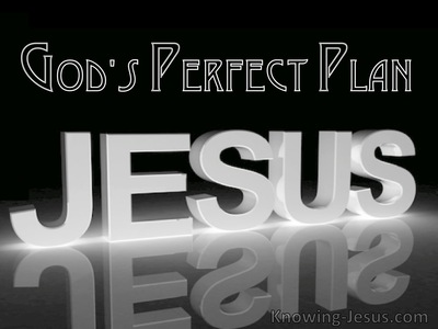 God’s Perfect Plan - Perfect MAN Eternal SON (21)